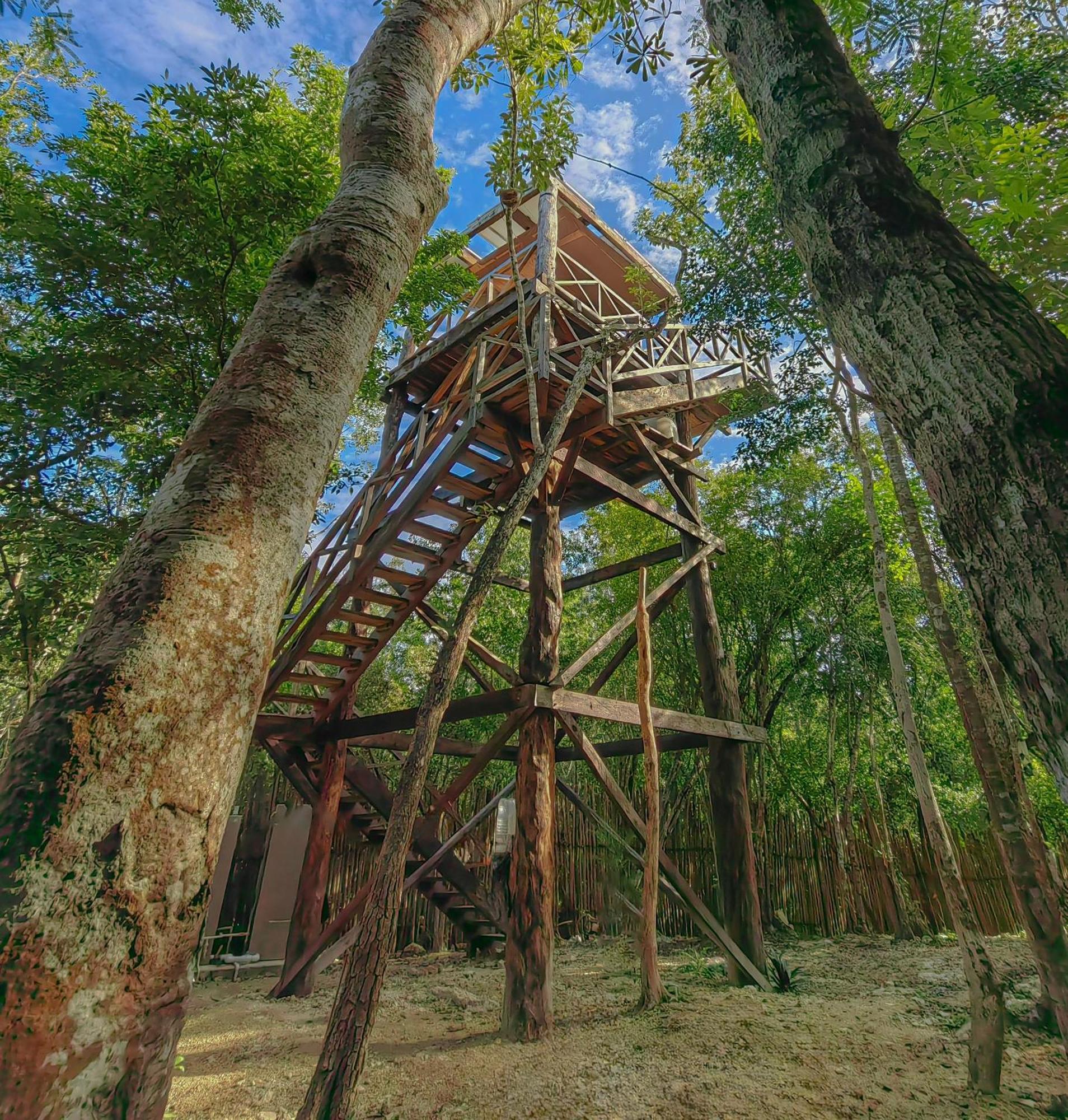 Acampamento Treehouse H2ojos